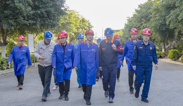 开远市委副书记、市长解凌云一行到解化化工分公司发展化工安全专项查抄