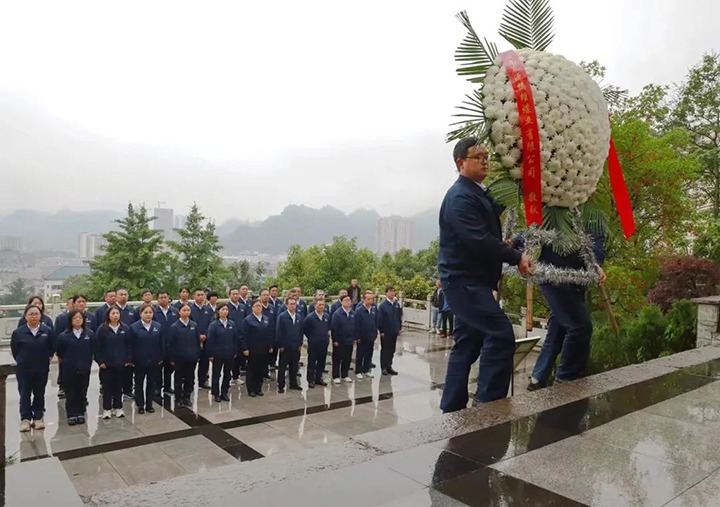 【云煤风采】镇雄煤业、KU酷游官网地产、联结煤业公司发展主题党日活动