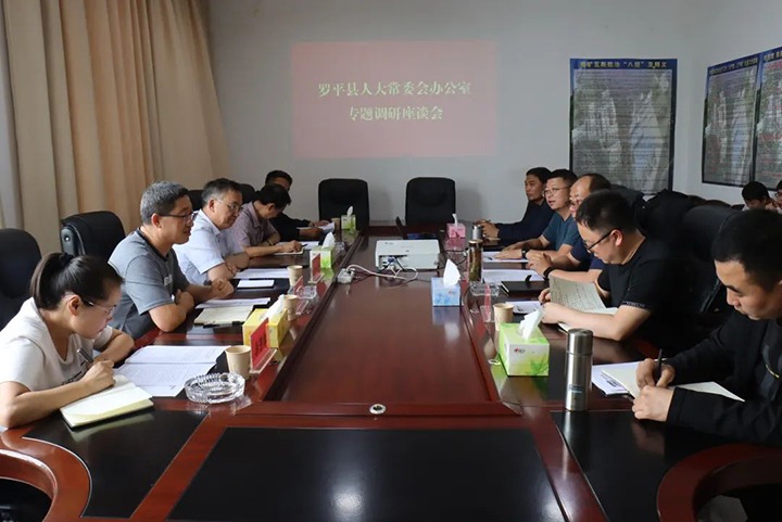 【聚焦云煤】罗平县人大常委会副主任蒋友贵一行到罗平东城公司发展专题调研