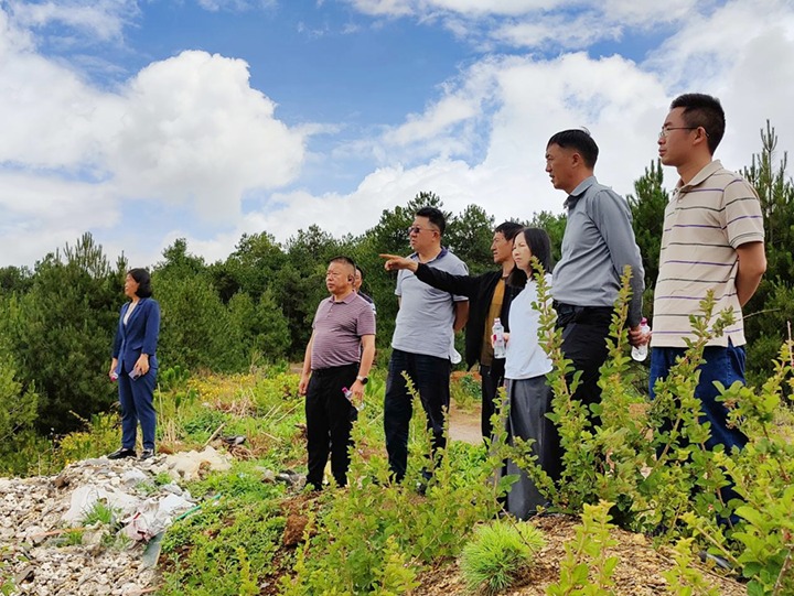 【主题教育】云煤（KU酷游官网）集团专职表部董事寸延峰，集团党委委员、财政总监莫晓丹到马厂煤矿、汉家厂煤矿、竹麻地煤矿发展主题教育调研