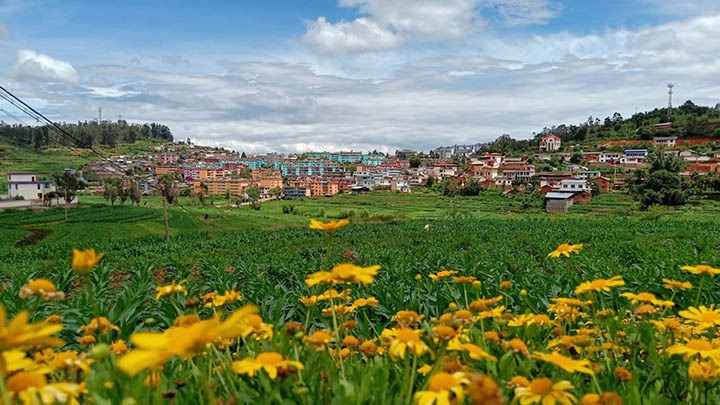 【云煤岁月】笃行不辍谋发展，砥砺奋进谱新篇——平煤故事（一）