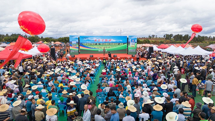 云南解化｜“快递幼哥”的三农情怀，温暖民气促发展