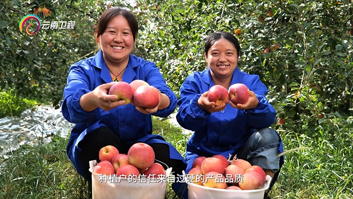 《云南卫视》播报：云煤集团解化好肥助力“三农”发展，共绘村落振兴“幸；怼