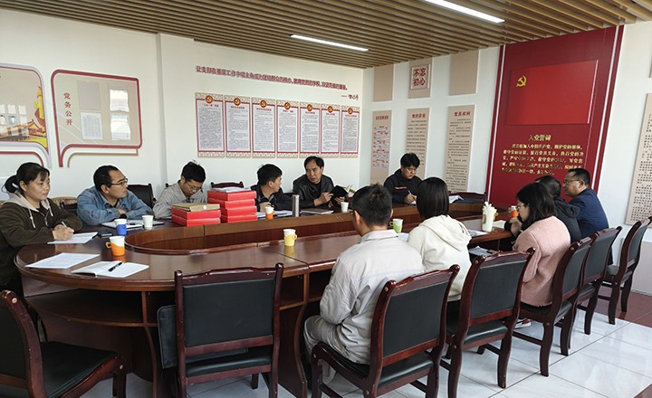 强化政治监督  规范权势运杏转—后所煤矿公司纪委发展“三沉一大”决策执行情况专项查抄