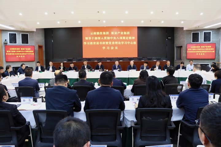 能投集团、煤炭产业集团辅导干部深刻贯彻中央八项划放心灵进建教育想书班暨党委理论进建中心组进行集中进建