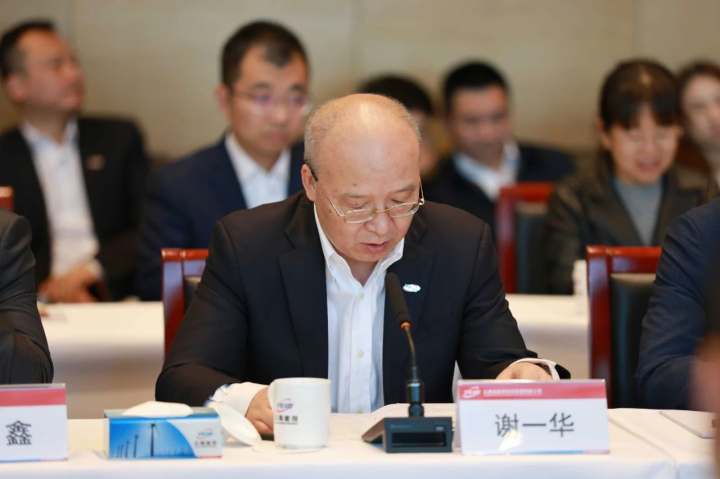 能投集团总裁、副董事长谢一华讲话.jpg